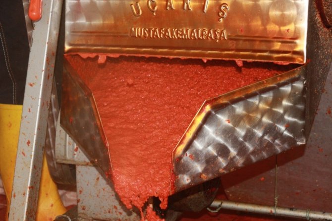 Adıyaman'da Ev yapımı salça sezonu başladı