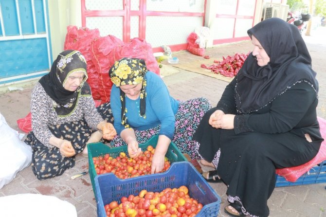 Adıyaman'da Ev yapımı salça sezonu başladı