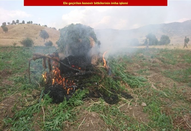 Diyarbakır'da Terör örgütü PKK’nın finans kaynağına darbe: 1 ton esrar, 6 milyon 718 bin kenevir ele geçirildi