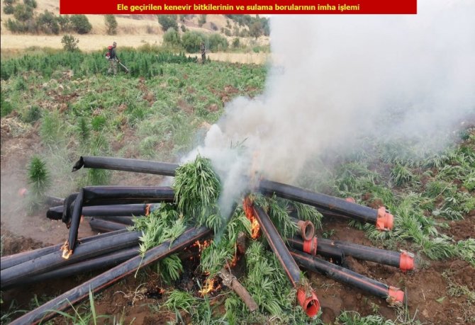 Diyarbakır'da Terör örgütü PKK’nın finans kaynağına darbe: 1 ton esrar, 6 milyon 718 bin kenevir ele geçirildi