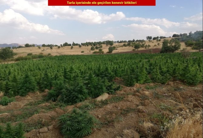 Diyarbakır'da Terör örgütü PKK’nın finans kaynağına darbe: 1 ton esrar, 6 milyon 718 bin kenevir ele geçirildi