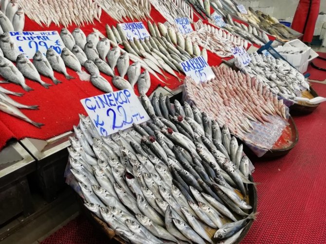 "Kalbe iyi gelen omega 3 kaynağı hamsi, bu sene hem bol hem de iri olacak”