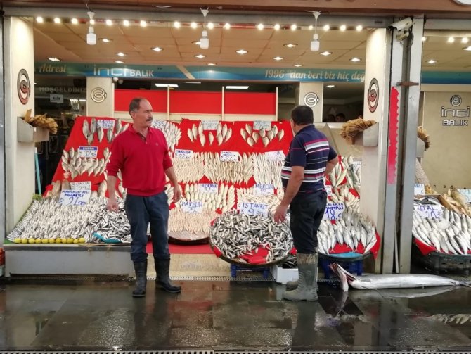 "Kalbe iyi gelen omega 3 kaynağı hamsi, bu sene hem bol hem de iri olacak”