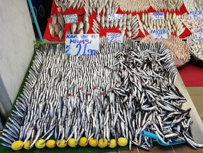 "Kalbe iyi gelen omega 3 kaynağı hamsi, bu sene hem bol hem de iri olacak”