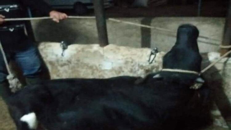 Uyarı yapıldı! Karantinaya alındı ve giriş çıkışlar yasaklandı