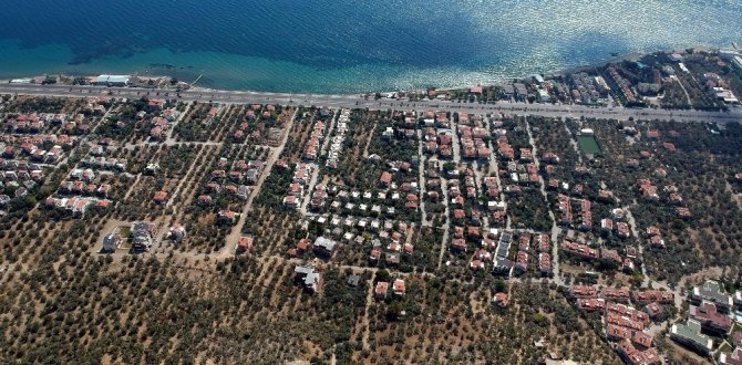Kazdağları’nda villa yapımı için 2,5 milyon zeytin ağacı kesildi, acı tablo havadan görüntülendi