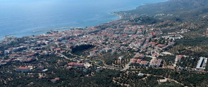 Kazdağları’nda villa yapımı için 2,5 milyon zeytin ağacı kesildi, acı tablo havadan görüntülendi