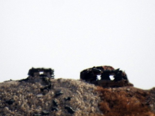 Amerikalılar bölgeden çekilince teröristlerin etekleri tutuştu! Terk edip gittiler...