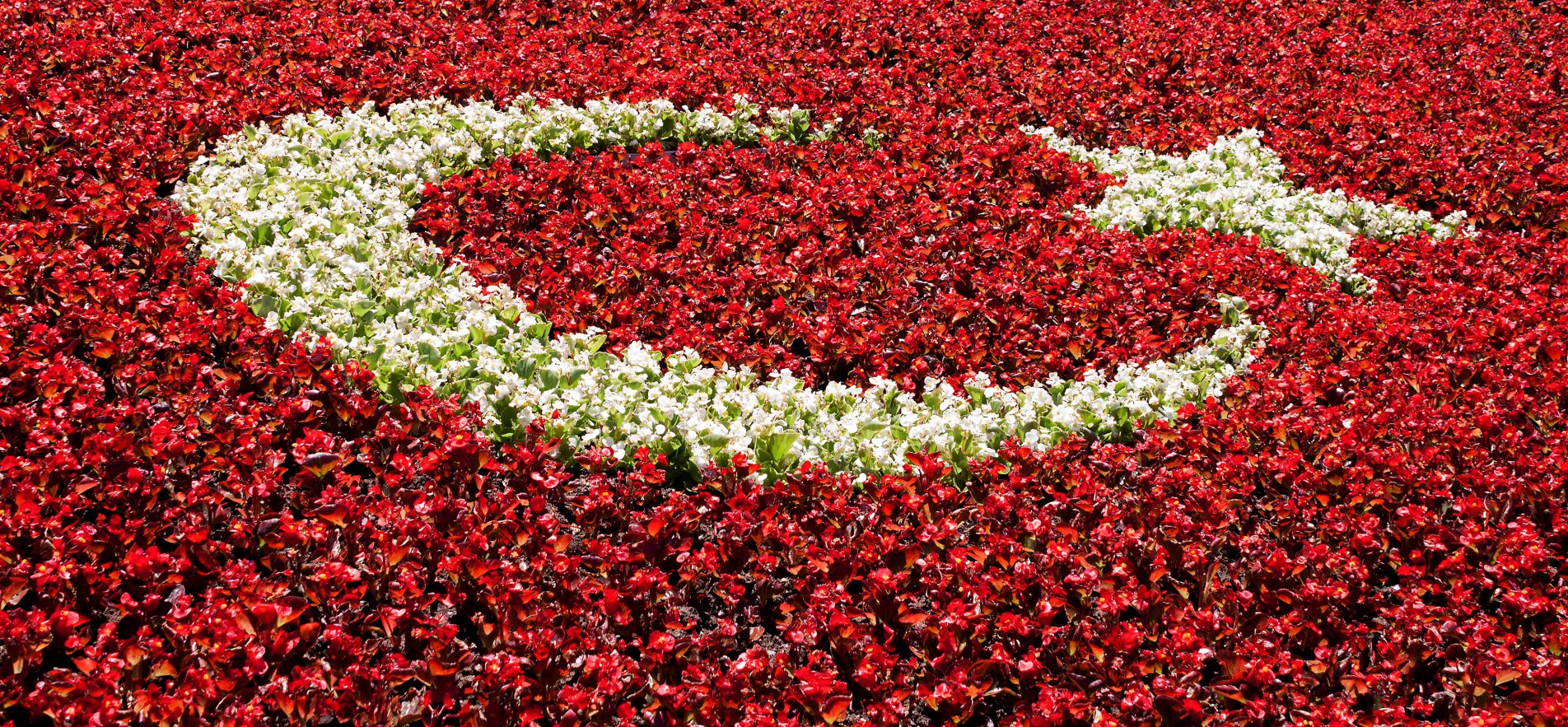 29 Ekim üniversiteler tatil mi 2019? | 29 Ekim üniversiteler kaç gün tatil olacak?