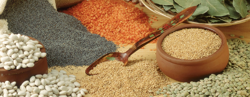 Dünya Gıda Günü 2019 | Dünya Gıda Günü nedir? Amacı nedir? Teması nedir?