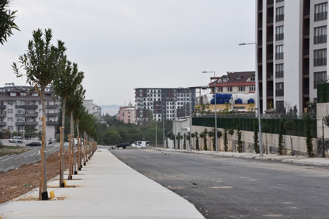 Pendik'te cadde ve sokaklar yeşile bürünüyor