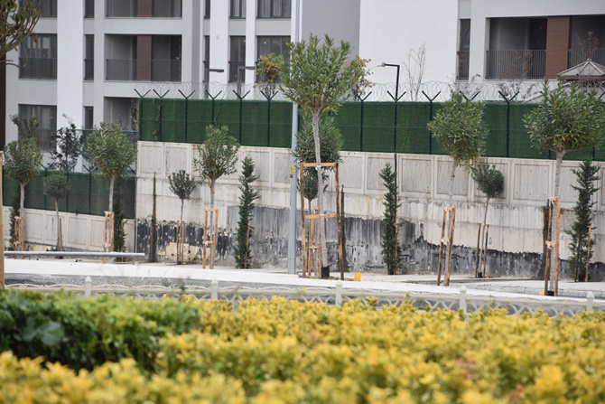 Pendik'te cadde ve sokaklar yeşile bürünüyor