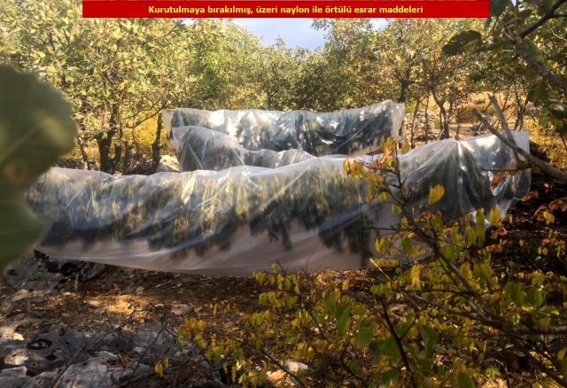 Hain terör örgütüne büyük darbe: Finansal olarak çöktüler!