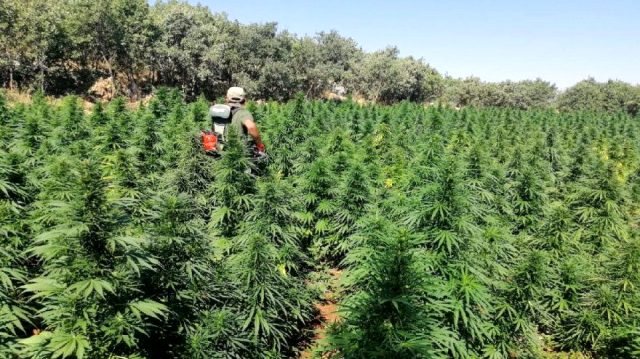 Hain terör örgütüne büyük darbe: Finansal olarak çöktüler!