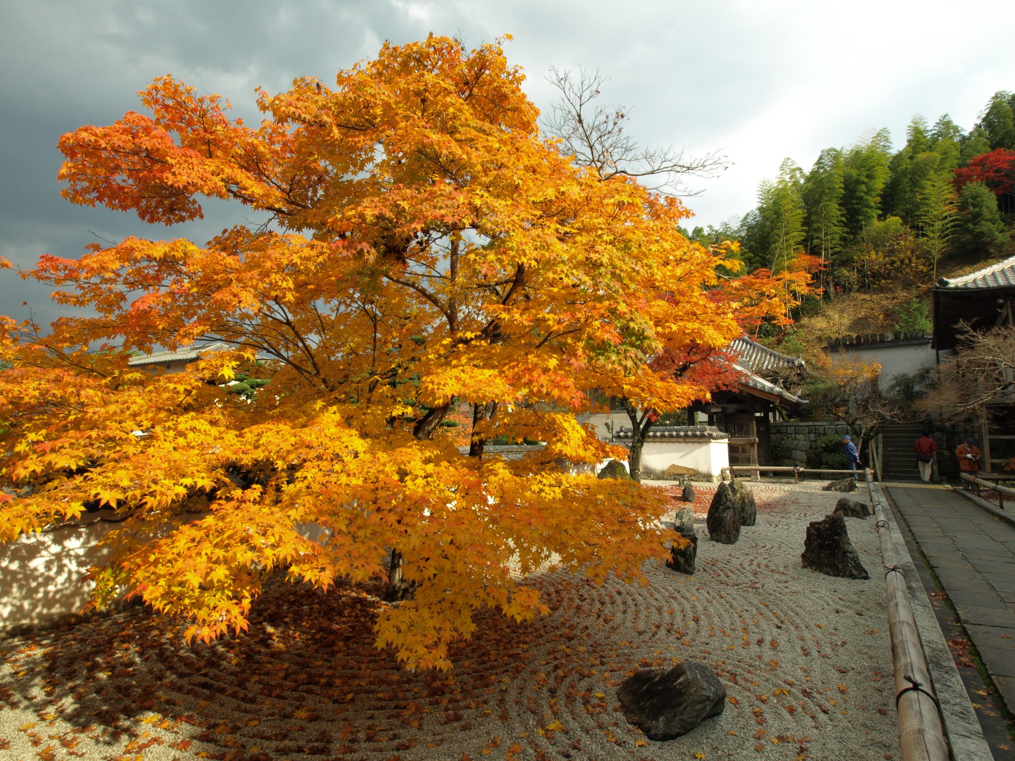 Kasım ayı en güzel ,en anlamlı sözleri nelerdir? Paylaşmak için Kasım sözleri