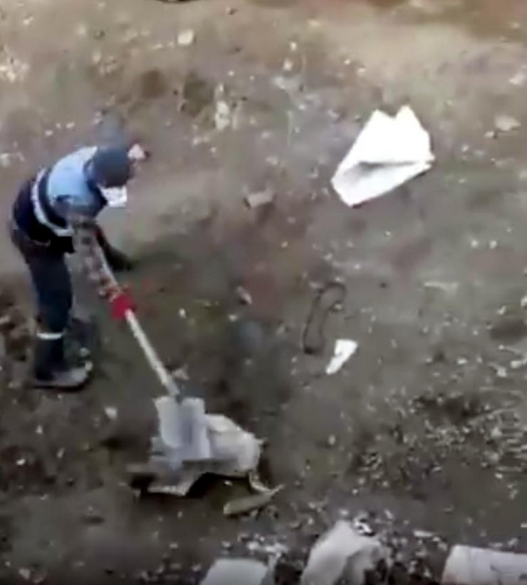 Köpeğe eziyet eden belediye personeli hakkında suç duyurusu