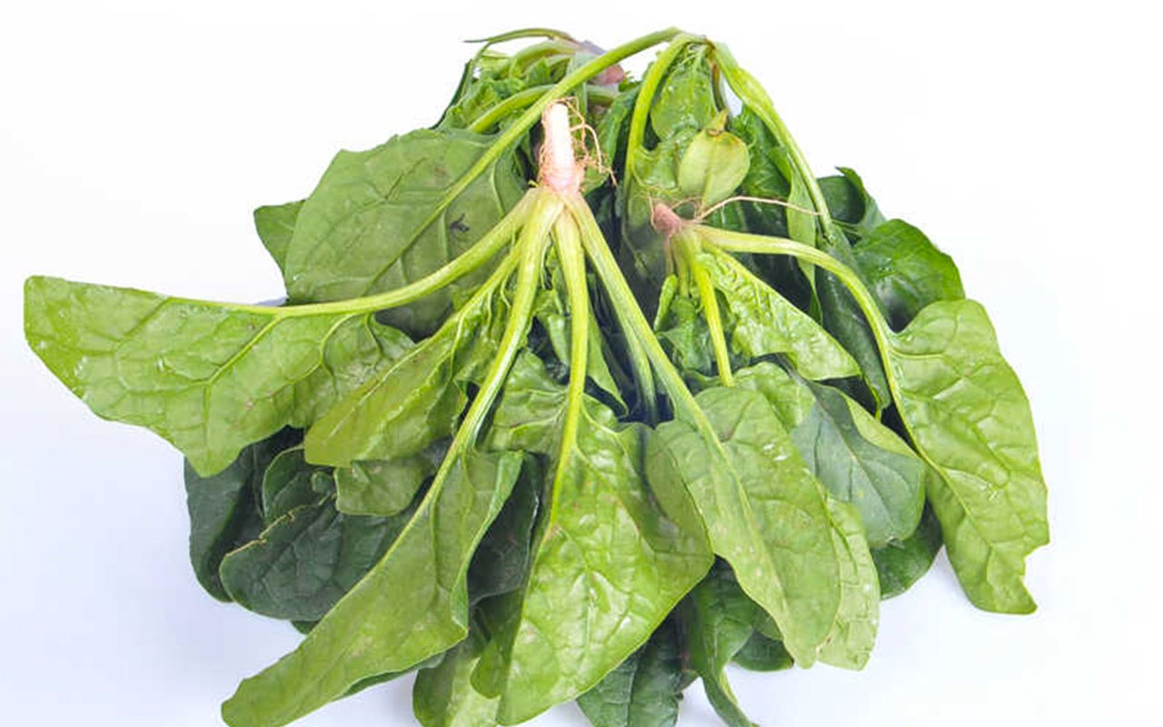 Ispanak zehirlenmelerinin ardındaki zehirli otun fotoğrafı ortaya çıktı!