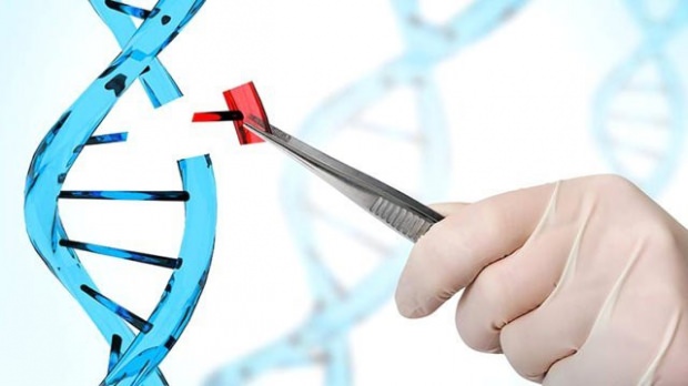 Türkiye'nin hedeflediği yüzde yüz yerli ve milli proje gerçekleşiyor! 