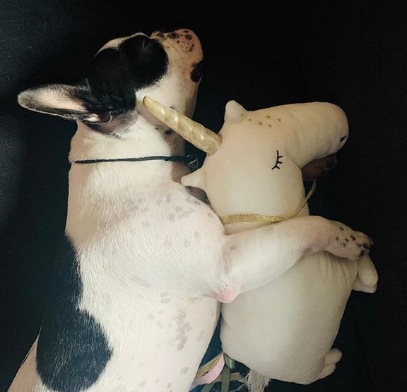 İrem Derici'den ilginç açıklama: Osuruk kokuna bile aşığım