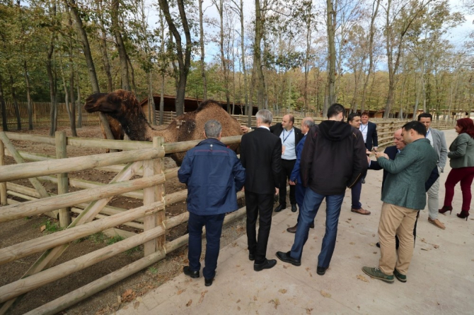 Kuzey Makedonyalı belediye başkanları Kocaeli’ye hayran kaldı