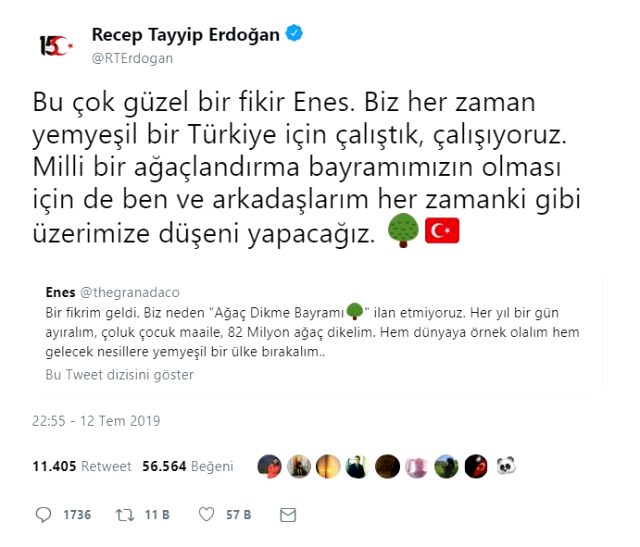 11 Kasım Milli Ağaçlandırma Günü nedir? 11 Kasım neden önemli?