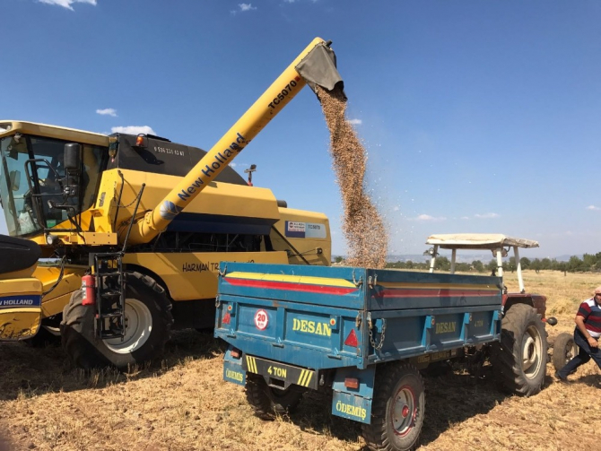 Tüm ülkede arttı, Ege Bölgesi’nde azaldı