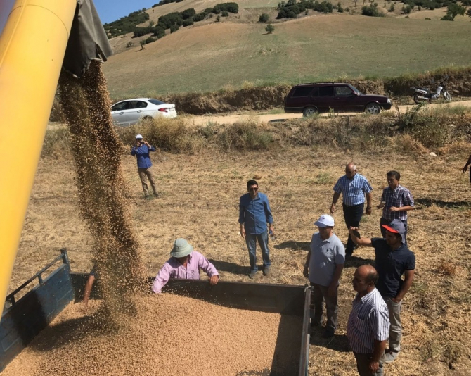 Tüm ülkede arttı, Ege Bölgesi’nde azaldı