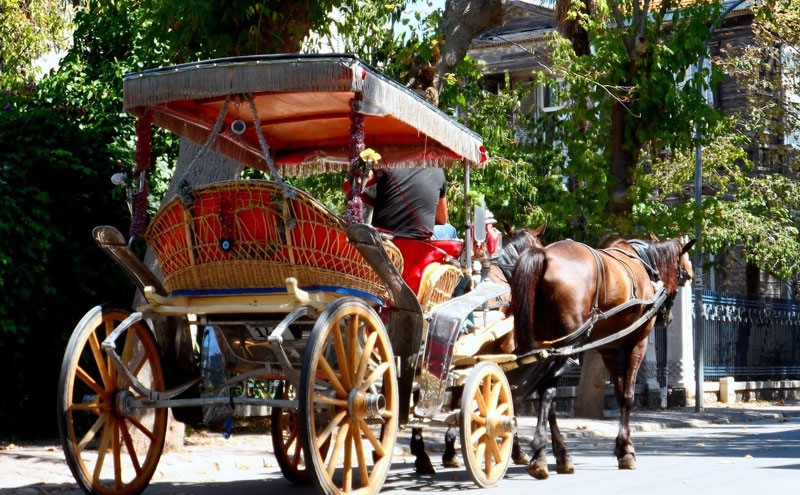 TBMM Başkanı Şentop'tan müjde! Adalar'da faytonlu ulaşım bitiyor