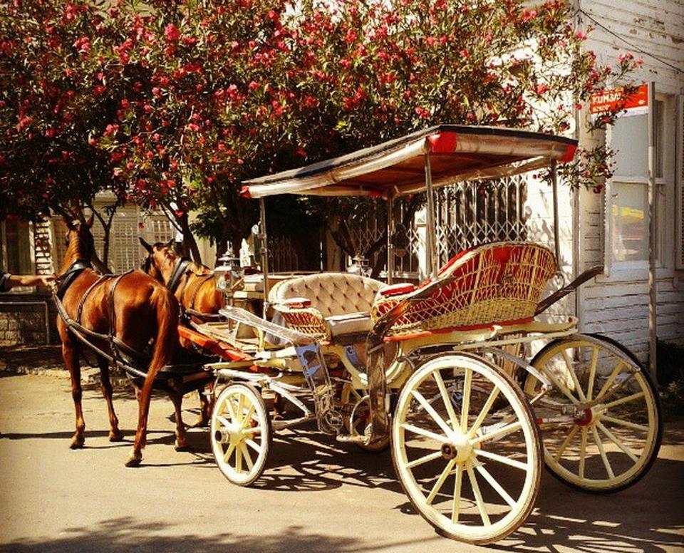 TBMM Başkanı Şentop'tan müjde! Adalar'da faytonlu ulaşım bitiyor