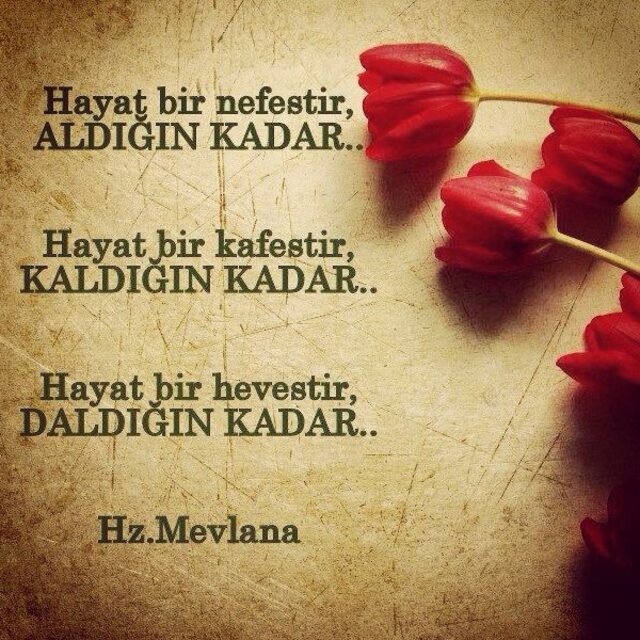 Mevlana Haftası ne zaman 2019 - 2020? Mevlana Haftası nedir? Mevlana kimdir?