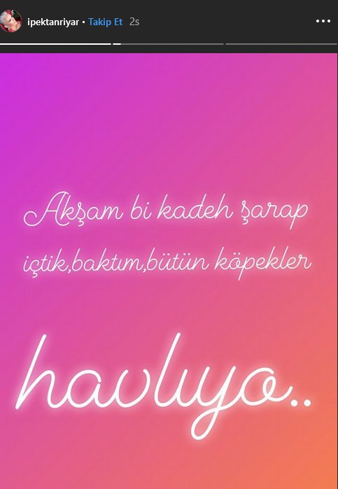 İpek Tanrıyar'dan kadehli paylaşıma açıklama: Bütün köpekler havlıyor