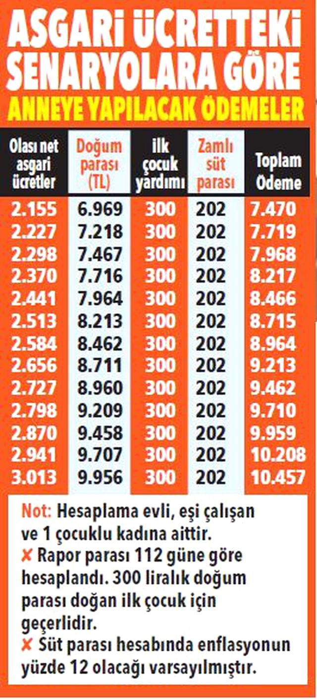 Yeni doğum yapmış çalışan annelere 2020'de en az 7 bin 420 TL verilecek!