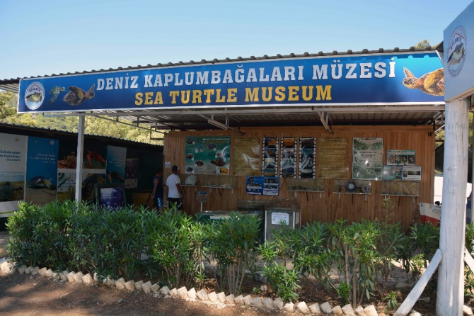 Dalyan İztuzu’nda ‘Fikir Projesi’ yarışması