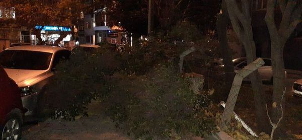 İstanbullular dikkat! Sabah yapılacak birçok İDO ve BUDO seferleri iptal edildi