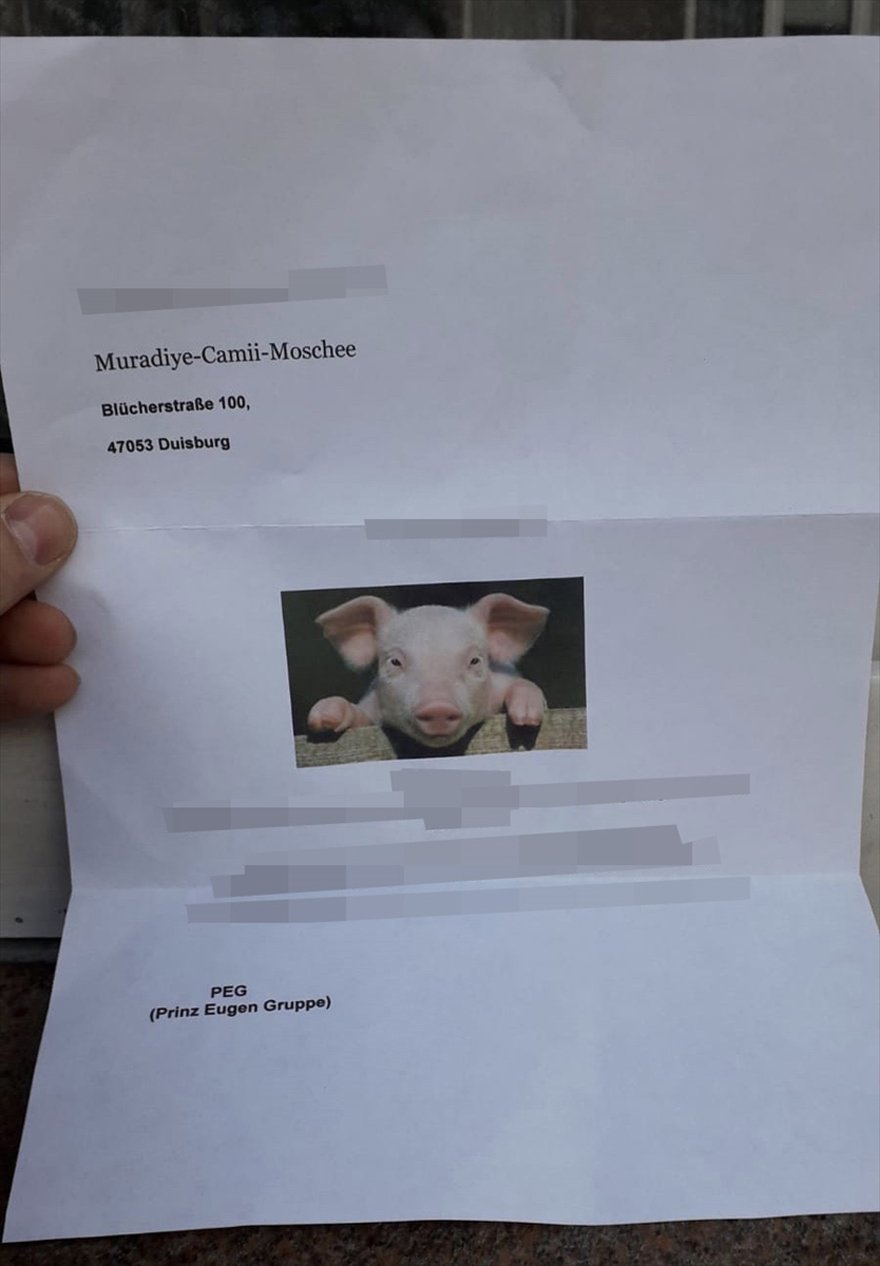 Almanya’da bir camiye hakaret için domuz gönderildi!