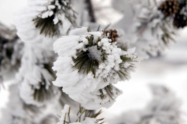 İstanbul'a kar yağacak mı? | İstanbul kar ne zaman yağacak?