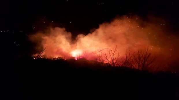 PKK, Karadeniz'deki orman yangınlarını üstlendi!