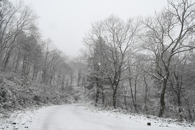 Pendik Belediyesi kış için önlemlerini aldı