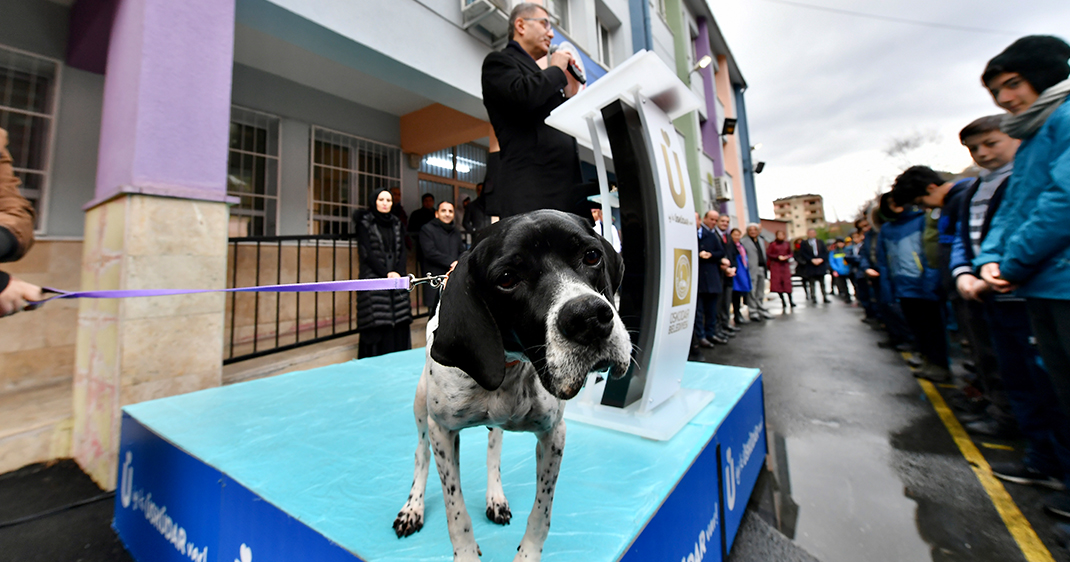 Üsküdar Belediyesi'nden Fatih Ortaokulu'na muhteşem hediye: ''Titrek''