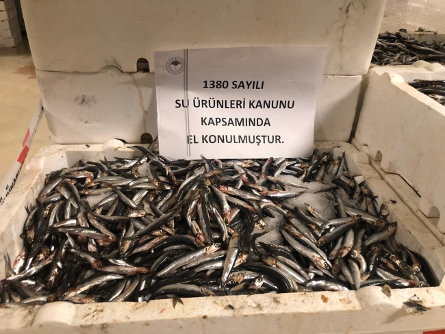 İstanbul'da balıkçılara denetim: 53 ton balığa el konuldu