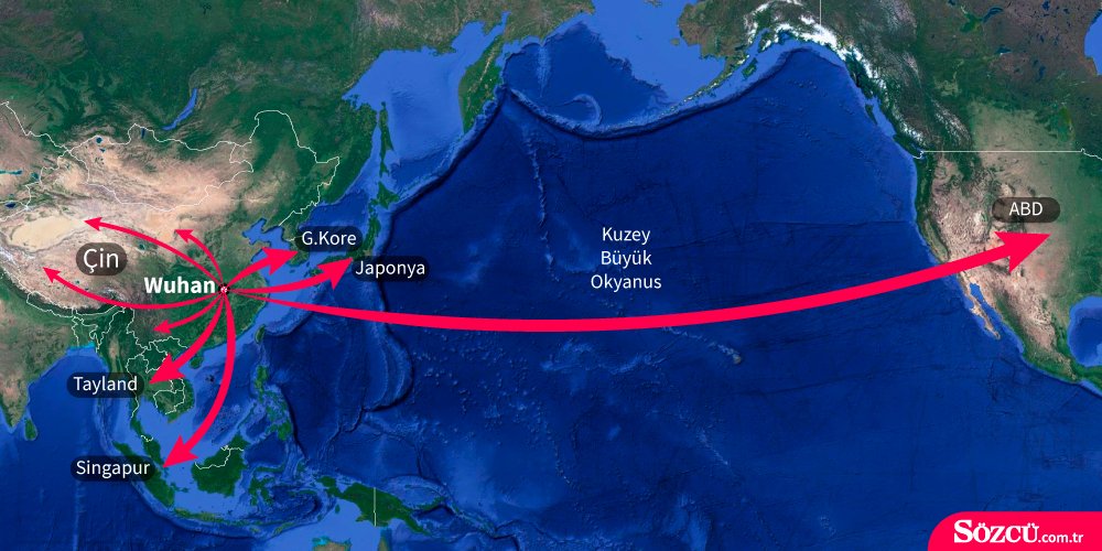 Corona virüsü için yarasa iddiası!