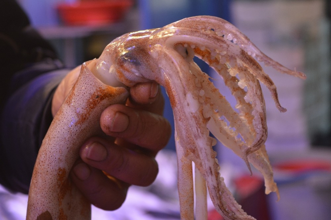 Bu deniz ürününü sadece bilenler alıyor