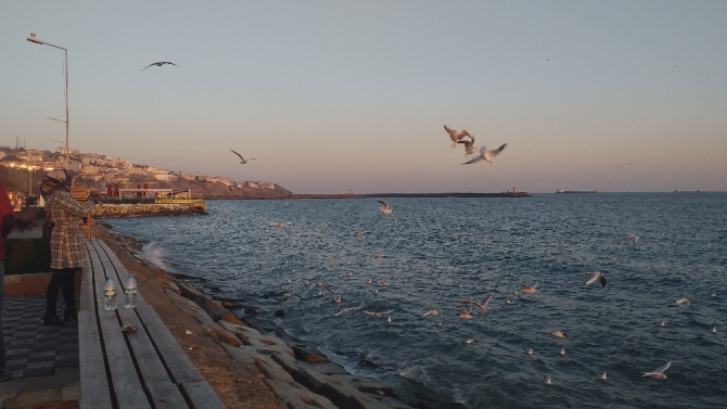 Martılar simit kapmak için havada yarıştı