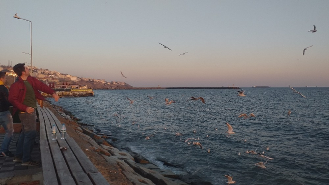 Martılar simit kapmak için havada yarıştı