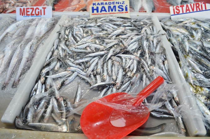 Hamsinin kasası bir günde 150 lira fark atabiliyor