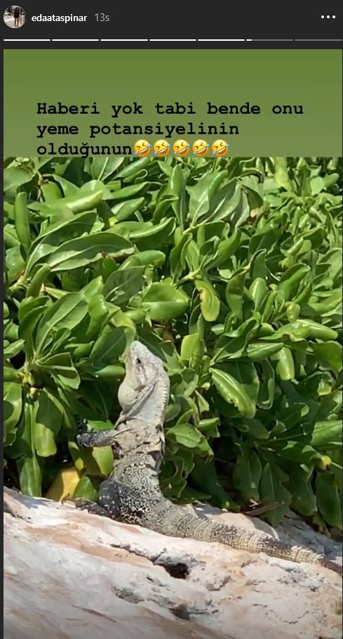 Eda Taşpınar bu seferde Iguana'ya göz dikti