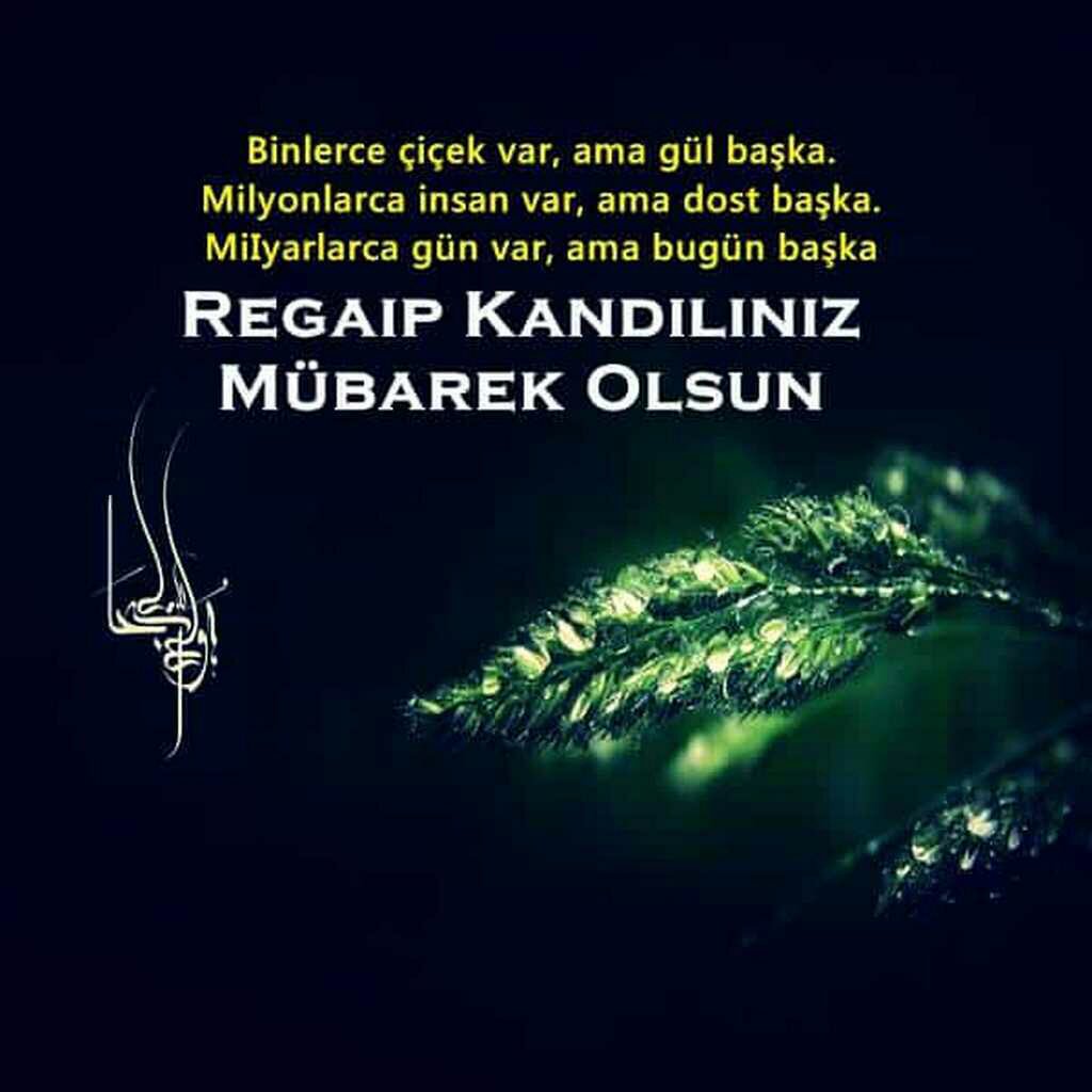 Resimli Regaib Kandili mesajları 2023 |Resimli, en güzel, anlamlı Regaip Kandili mesajları