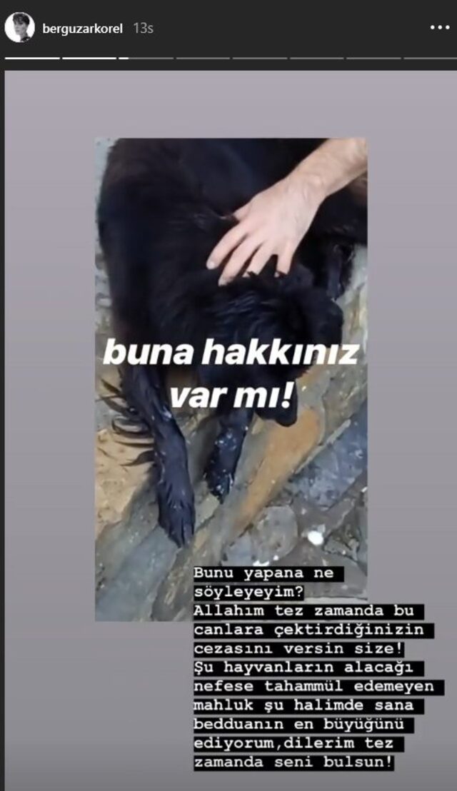 Bergüzar Korel'den büyük beddua