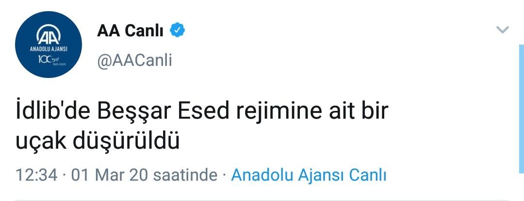 İdlib'de düşürülen uçak kime ait?