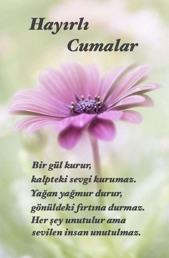 En güzel, en yeni ve en anlamlı Cuma mesajları, Cuma sözleri